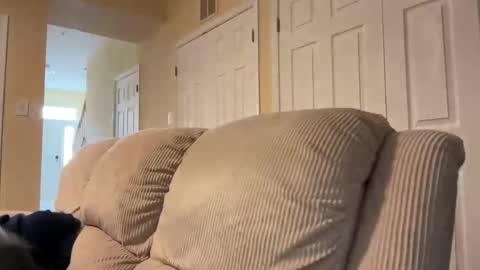 honey_man14 online show from 02/17/25, 01:53