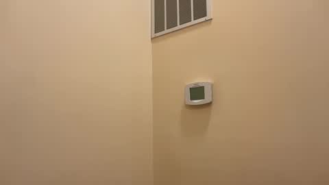 honey_man14 online show from 02/12/26, 04:57