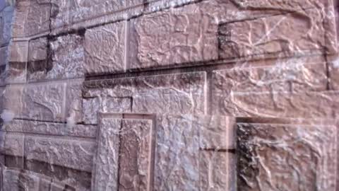 Victoria online show from 03/02/26, 07:59