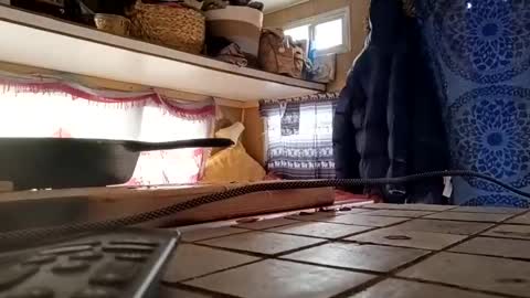 hoodoou online show from 12/20/25, 07:21