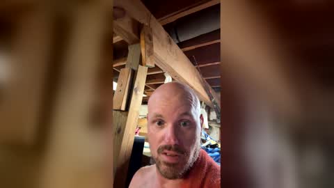 hopper_in_joyce online show from 05/14/26, 11:06