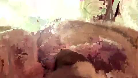 hornieecum online show from 03/02/26, 11:17