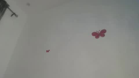 Iris online show from 11/20/25, 08:08