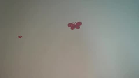 Iris online show from 04/04/26, 08:28