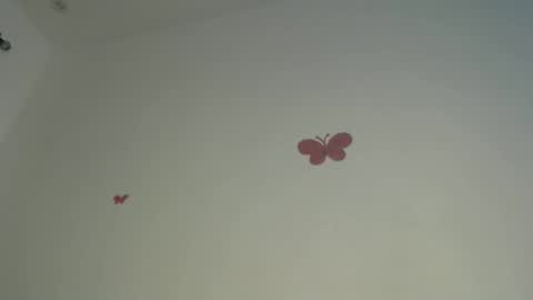 Iris online show from 04/06/26, 07:48