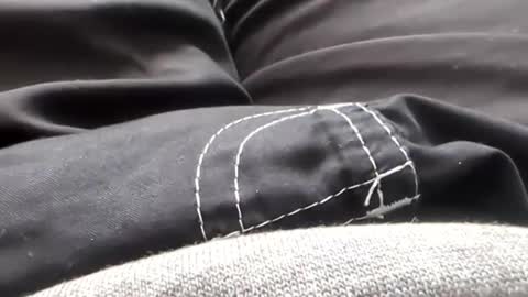 Tiny cock online show from 01/31/26, 07:11