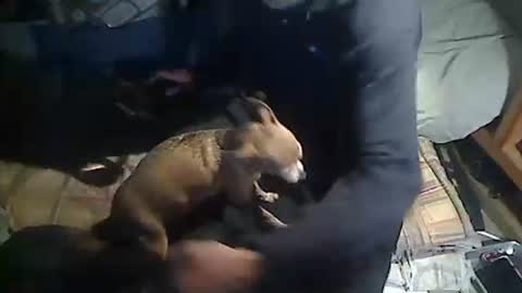 hornyscott666 online show from 03/04/26, 09:04