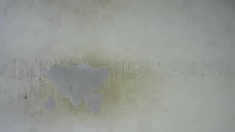 Bella online show from 02/25/26, 11:58