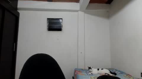 Snapshot of hot_angels___ chatting on 11/23/25, 05:40 angels online show from 11/23/25, 05:40