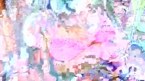 Snapshot of hot_baby_priya chatting on 10/12/25, 04:50 hot_baby_priya online show from 10/12/25, 04:50