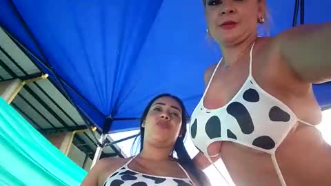 kittens online show from 04/16/26, 09:39