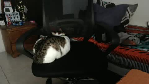 Hot and PowerHOPE U MISS ME online show from 12/21/24, 01:04