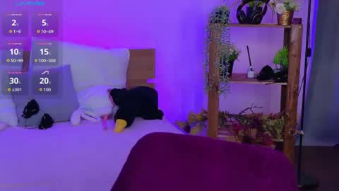 Hotary online show from 07/14/26, 04:39