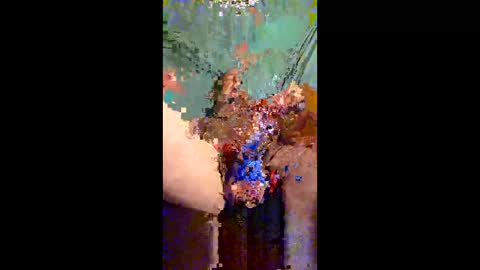 Snapshot of hotcockyspunkers chatting on 05/19/26, 10:43 Hot spunkers and cream online show from 05/19/26, 10:43