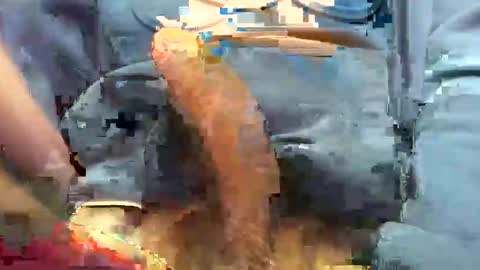 hotdick4200 online show from 11/19/25, 06:24