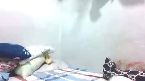 Snapshot of hotlavender chatting on 01/27/25, 04:09 hotlavender online show from 01/27/25, 04:09