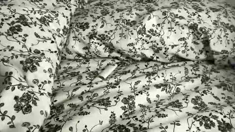 Annabelle online show from 04/21/26, 10:01