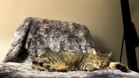 hottiewithabody101 online show from 04/17/26, 09:51