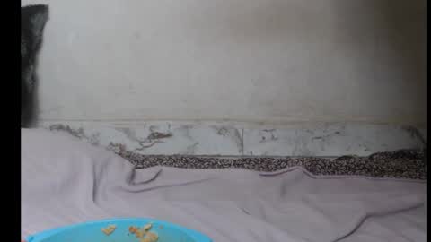 Snapshot of hottylissa1 chatting on 09/26/25, 08:35 hottylissa1 online show from 09/26/25, 08:35