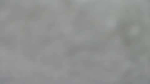 Slutty little female cat online show from 01/18/26, 05:33