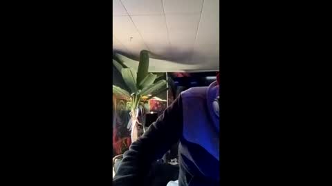 SeanPatrick online show from 05/13/26, 01:19