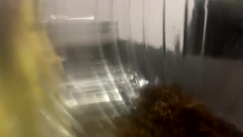 howarudoing online show from 10/05/25, 01:59