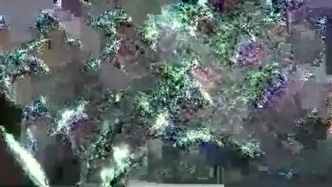 hp58649blabla online show from 09/17/25, 01:07