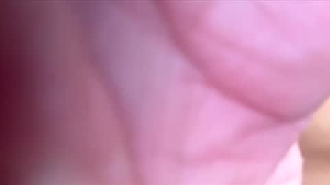 htwnswangn9 online show from 03/03/26, 04:07