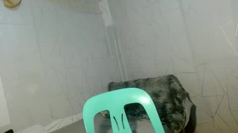 Cara online show from 04/12/26, 09:03