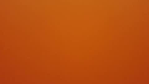 hundeleine online show from 12/16/25, 09:03