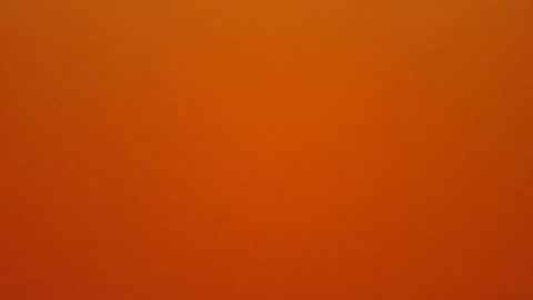 hundeleine online show from 02/16/26, 10:44