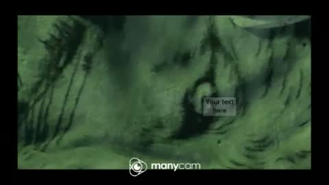 hung420boner online show from 03/10/26, 03:28