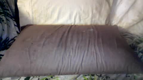 hung420boner online show from 06/12/26, 08:02