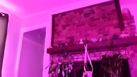 hungitalian40 online show from 06/25/26, 10:31
