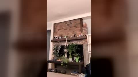 hungitalian40 online show from 07/24/26, 10:24