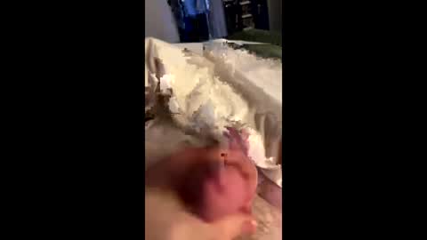 hungminer69 online show from 05/28/26, 11:24