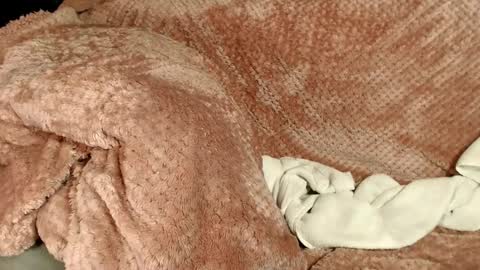 Kayla online show from 12/11/24, 04:28