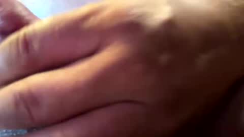 hvalbrecht online show from 01/12/25, 02:24