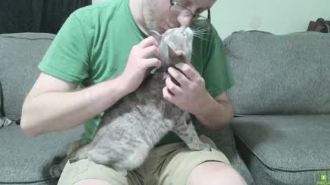 Snapshot of hybridhuman666 chatting on 09/30/25, 01:10 Bob Anderson online show from 09/30/25, 01:10