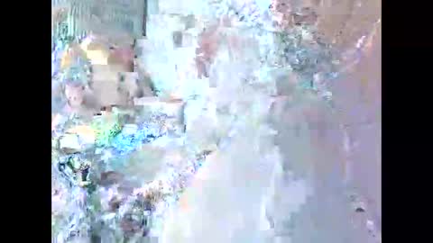 jamaeca online show from 11/20/25, 10:48