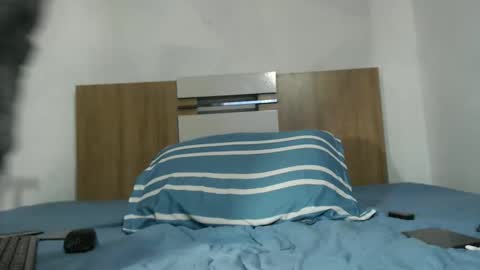 David Colt online show from 04/08/26, 08:14