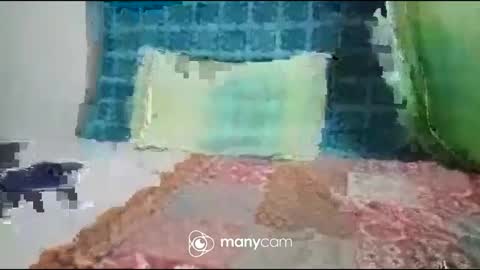 JP online show from 09/27/25, 07:19