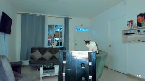 iam_your_fantasy online show from 12/04/25, 12:09