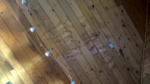 icanmakeyousquirt69 online show from 03/17/26, 09:18