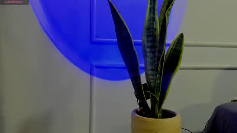 Crystall online show from 10/02/25, 04:41