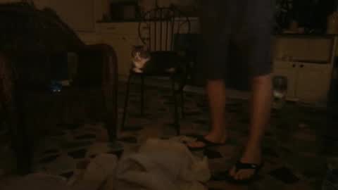 Snapshot of idksohorny chatting on 12/21/24, 06:41 idksohorny online show from 12/21/24, 06:41