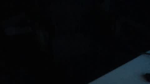 Snapshot of idksohorny chatting on 01/24/25, 08:55 idksohorny online show from 01/24/25, 08:55