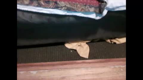 Snapshot of idkwhyidothis348732 chatting on 01/05/25, 06:02 idkwhyidothis348732 online show from 01/05/25, 06:02