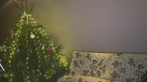 Belle online show from 01/04/25, 04:11