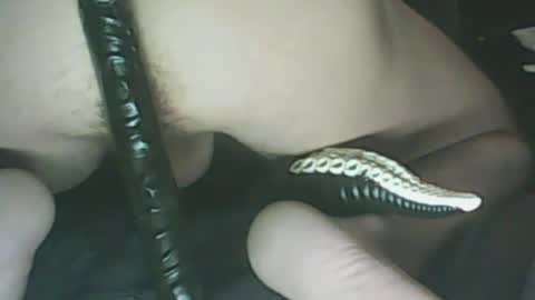 ikercheal online show from 01/29/25, 02:10